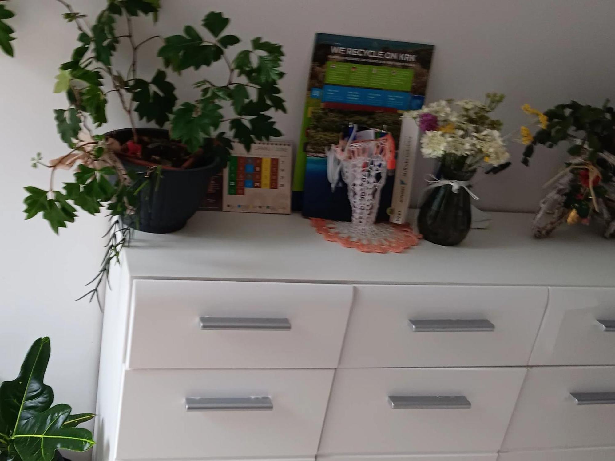 Iggy Apartment มาลินสกา ห้อง รูปภาพ